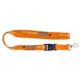 Lanyard