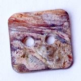 Shell Button