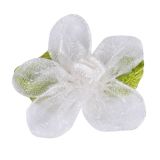 Bows