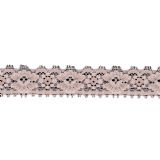 Tricot Lace with Spandex