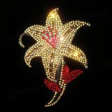 rhinestone Applique